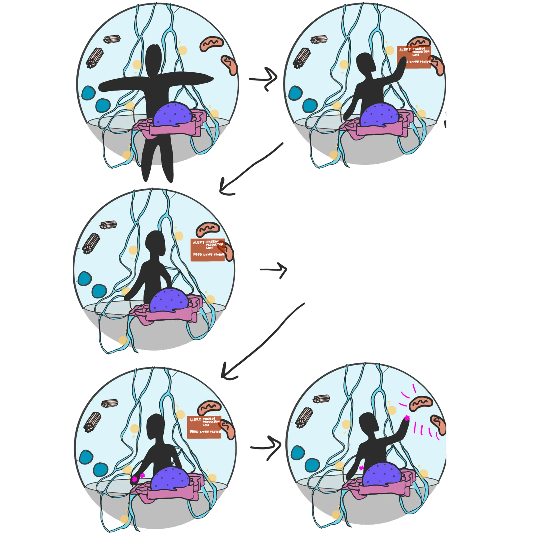 Storyboard of the core loop