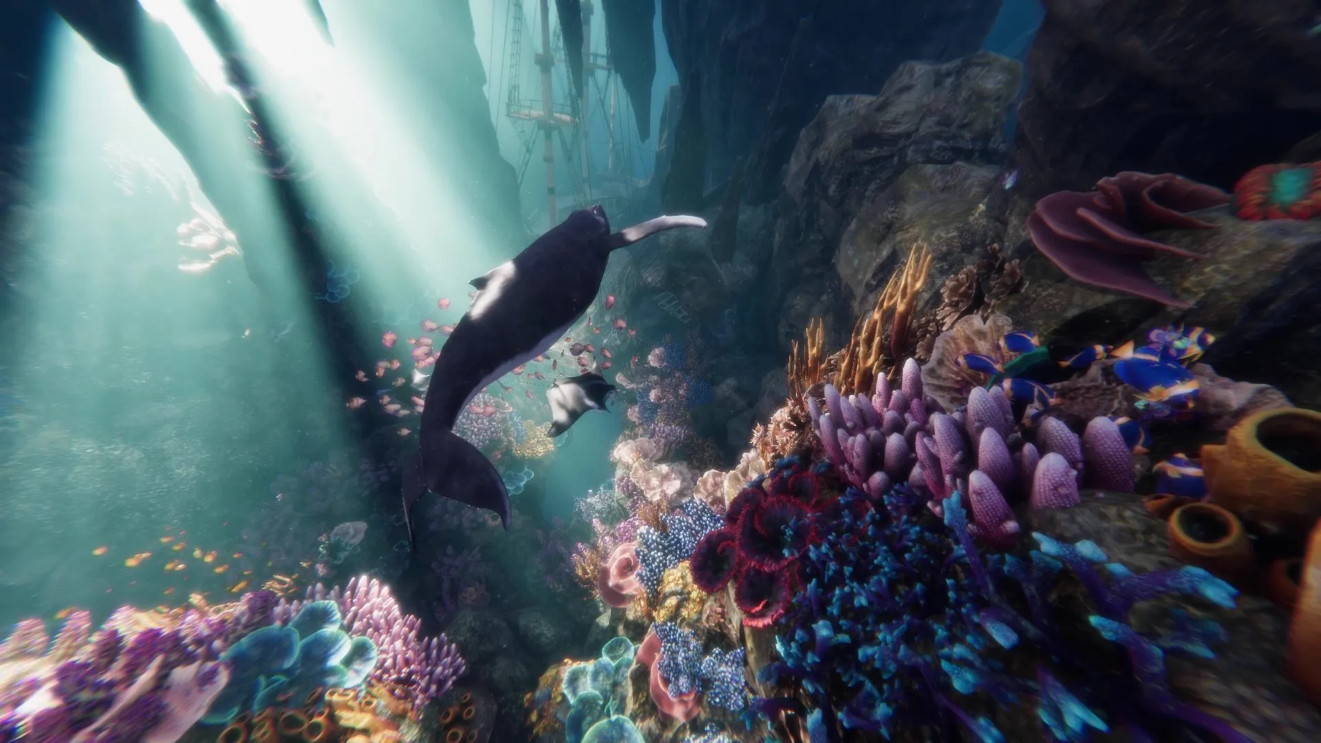 A whale and manta rays swimming above a glowing coral reef